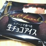 スプーンで食べる生チョコアイス（森永新商品）を食べた！